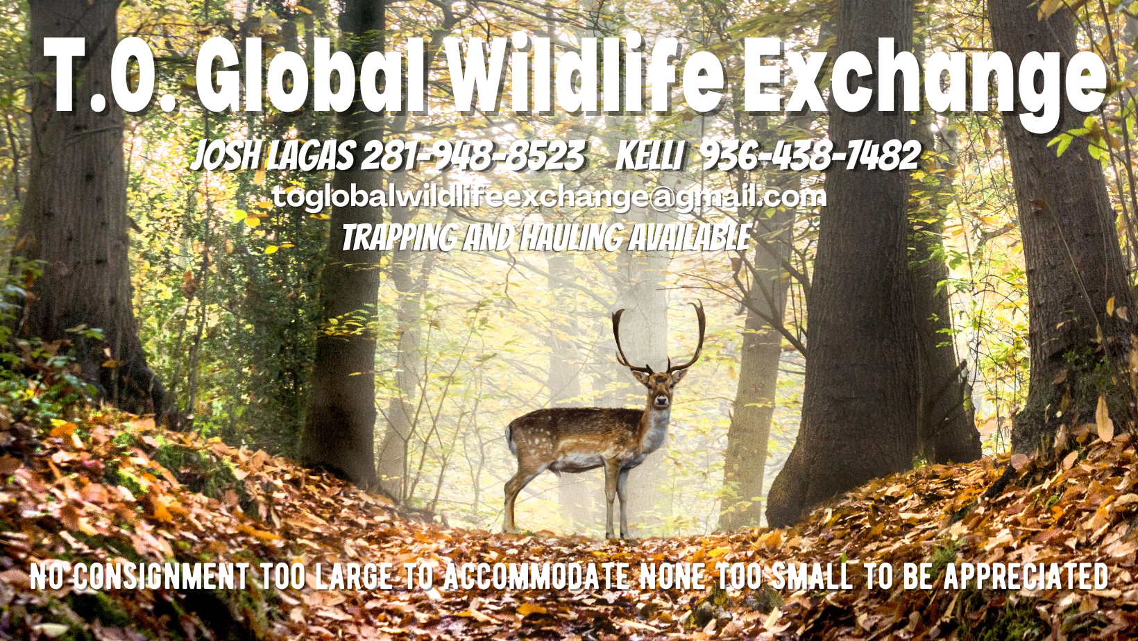 T.O. Global Wildlife Exchange LLC